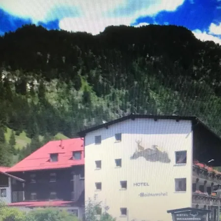 Hotel Waidmannsheil Hinterstein
